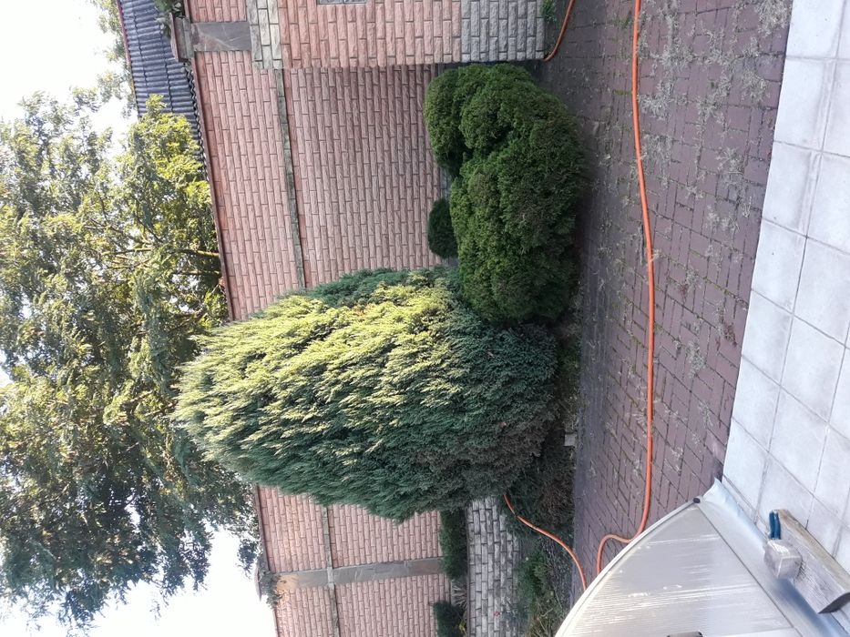 Строительные работы под ключ.Будівельники