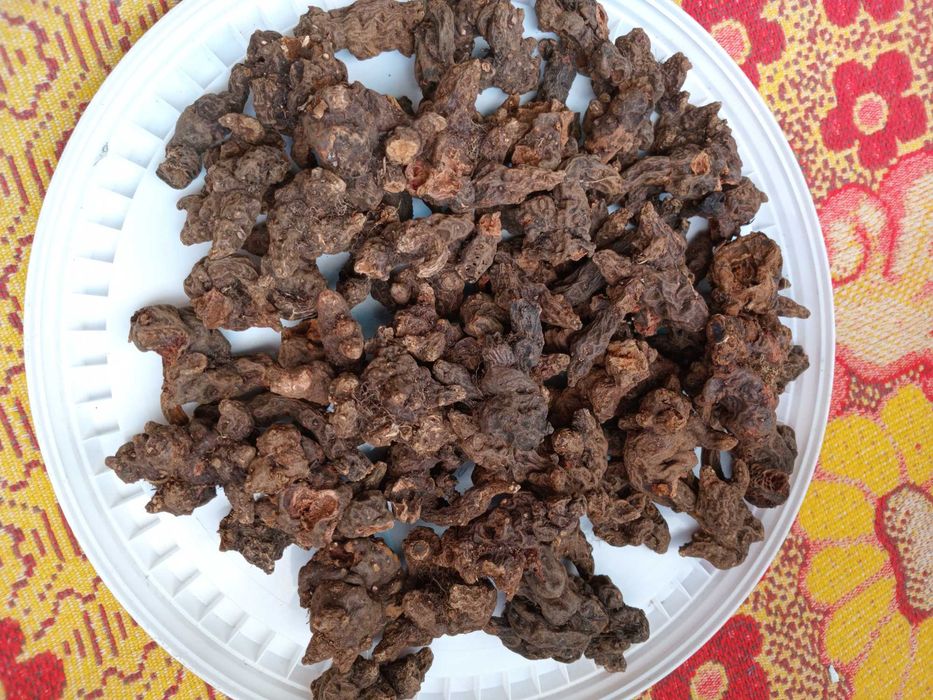 Корінь Калгану сушений