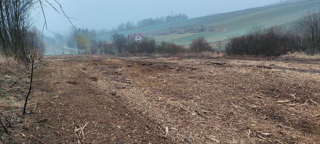 Wydzierżawię działkę rolną 53a  Wola Zgłobieńska działka nr 75