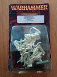 Miniaturas Warhammer: Wood Elf Waywatchers 2009