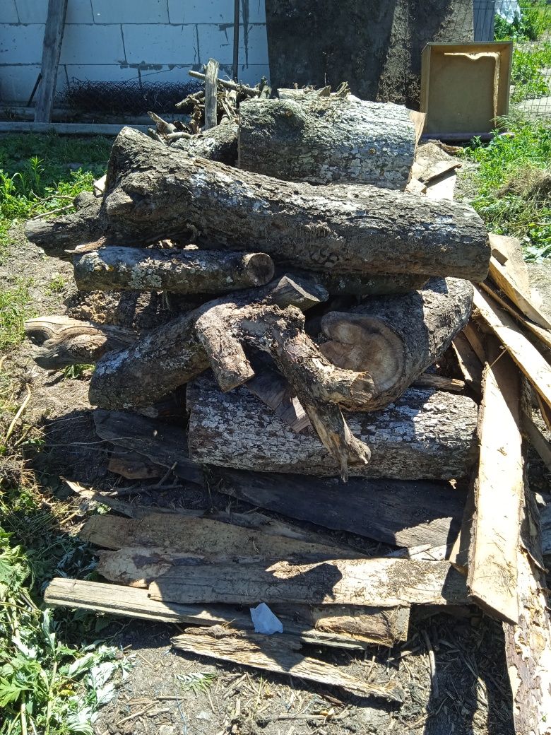 Продам дрова, з фруктових дерев