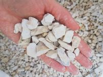 Grys biały Biała Marianna kamień naturalny ozdobny z dostawą+głaz