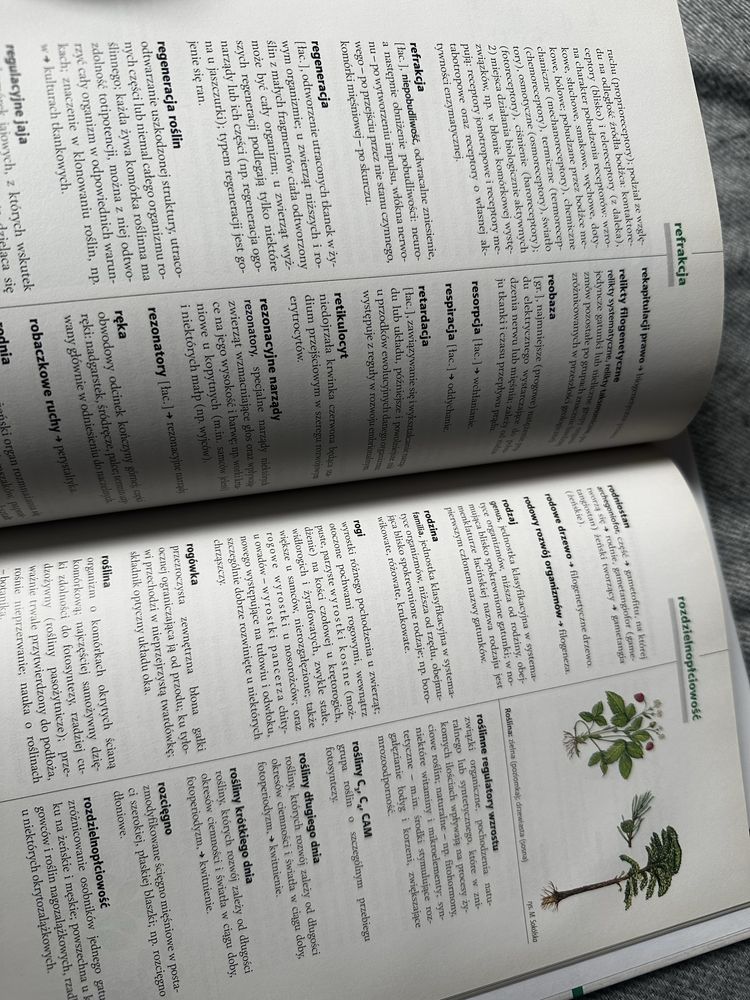 Słowniki biologiczne 2 szt.