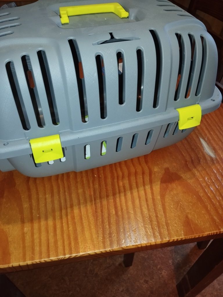 Cx para gatos nova