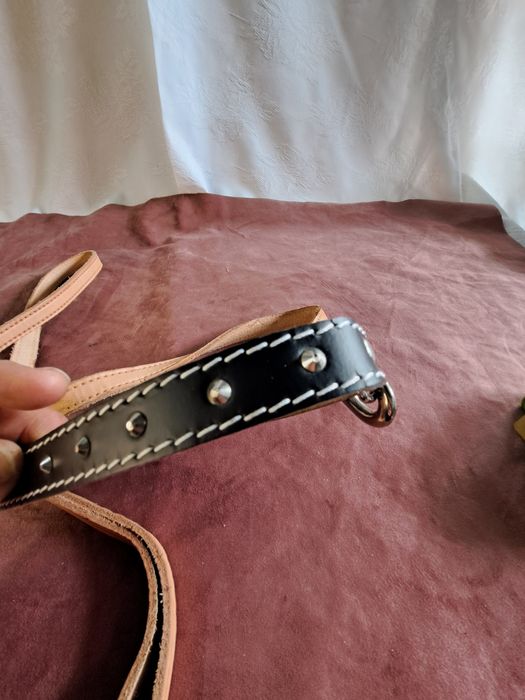 Nowa smycz dla psa 24