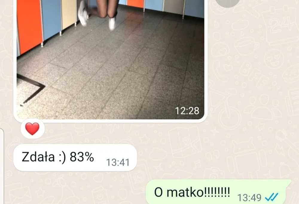 EGZAMINATOR - Korepetycje, język polski, matura, egzamin ósmoklasisty