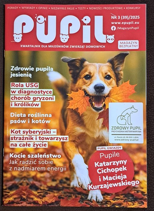 Pupil. Nr 3/2025