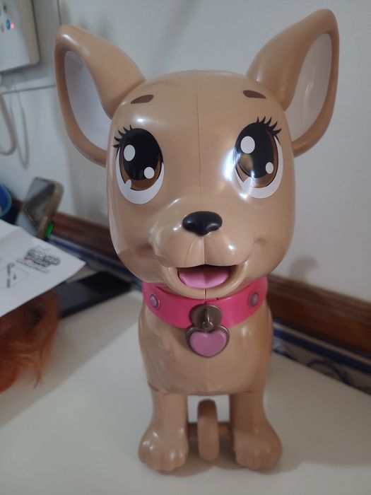 Cão chi chi love poo poo puppy Simba