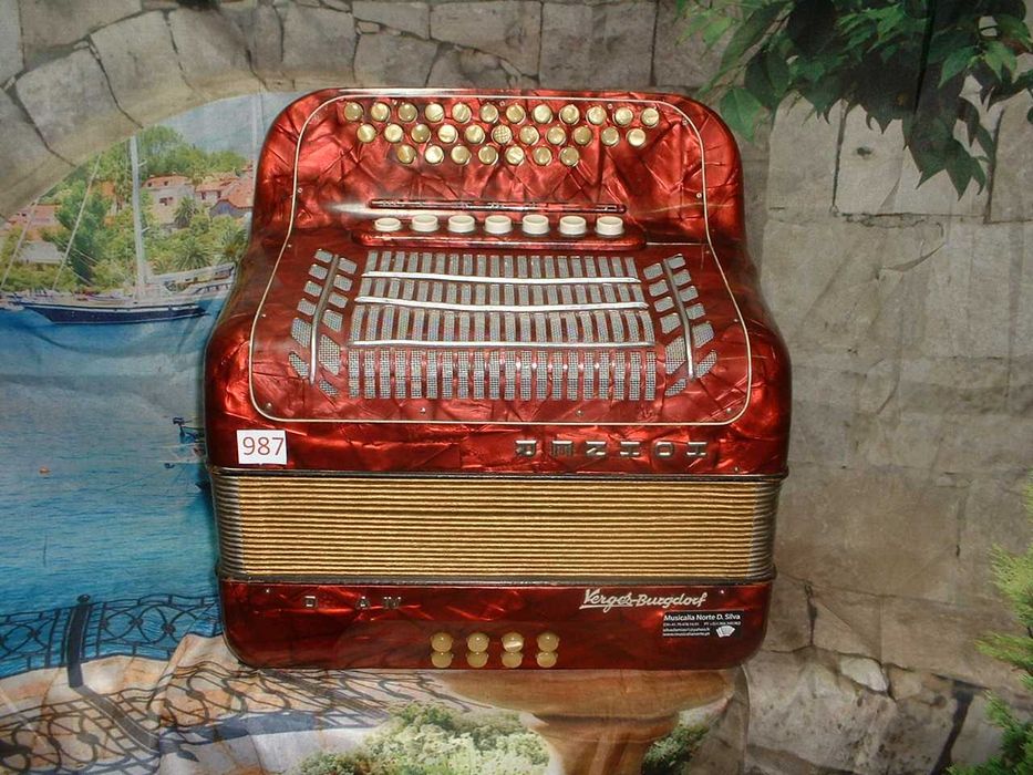 Concertina   Avenda N .987