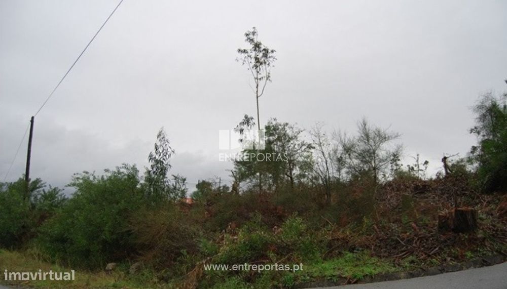 Terreno Vilarelho