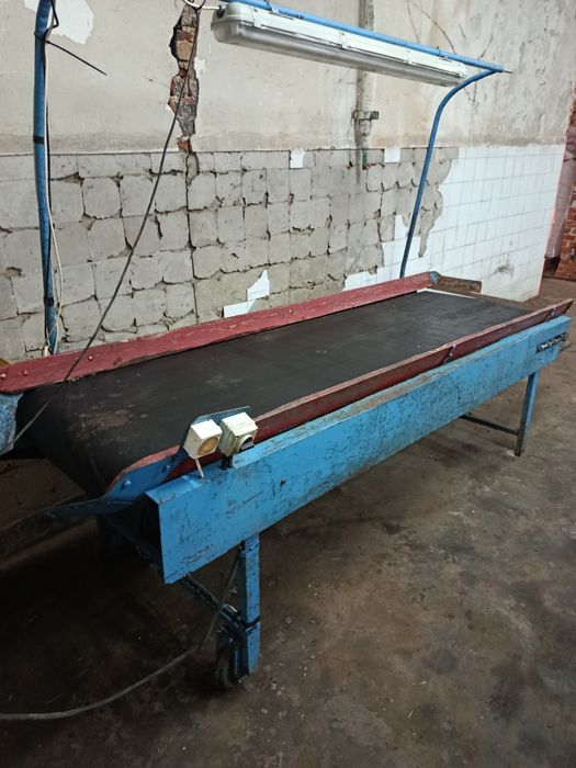 Stół taśmowy do warzyw