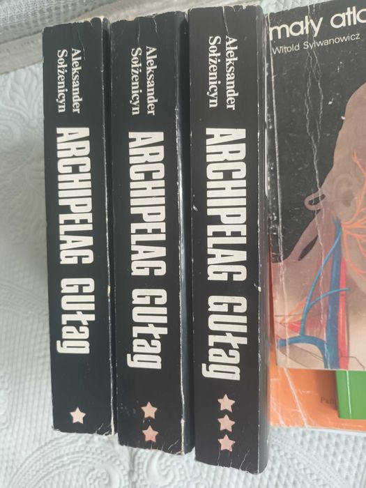 Archi Gułag 1-3 77zł, Nabokov Dar 69zł, Białe noce 62zł, Zapiski my 8Z