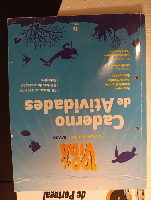Livros de atividades/fichas 6 ano