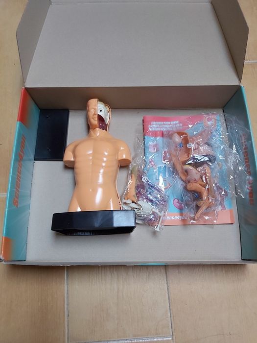 Jogo educativo Science4you Corpo Humano