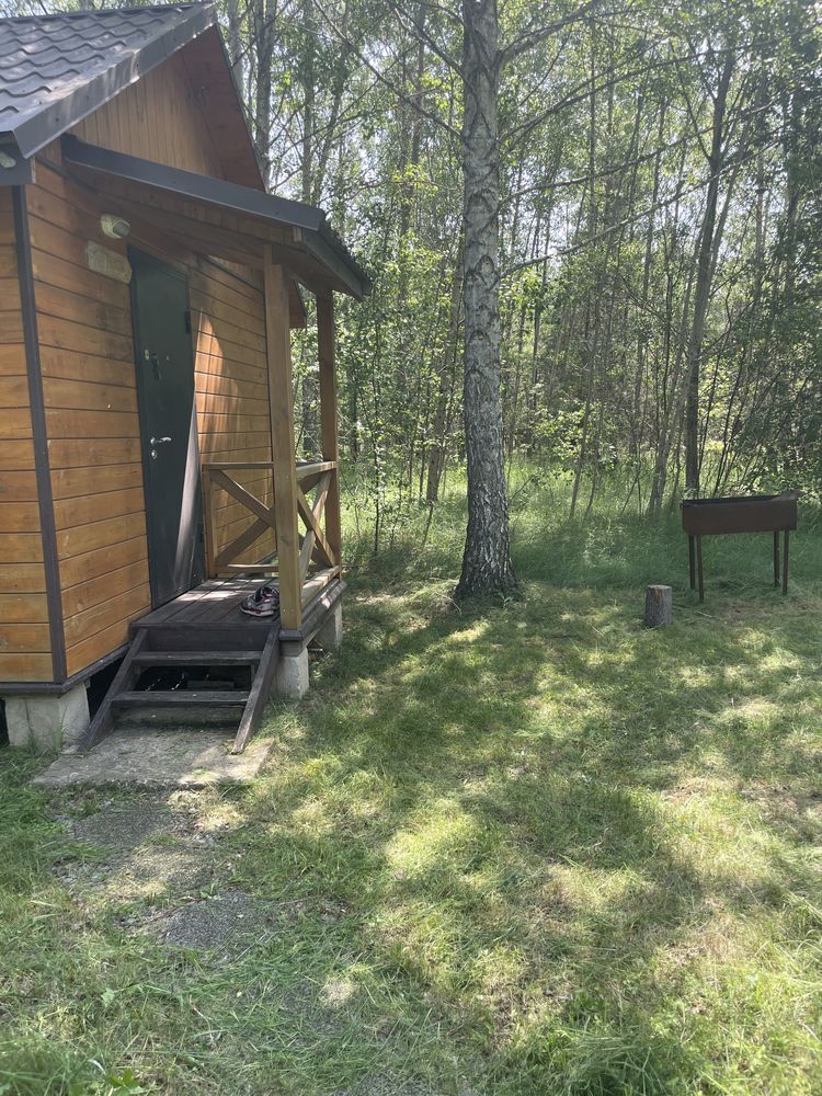 Продається ділянка в лісі з  будинком.