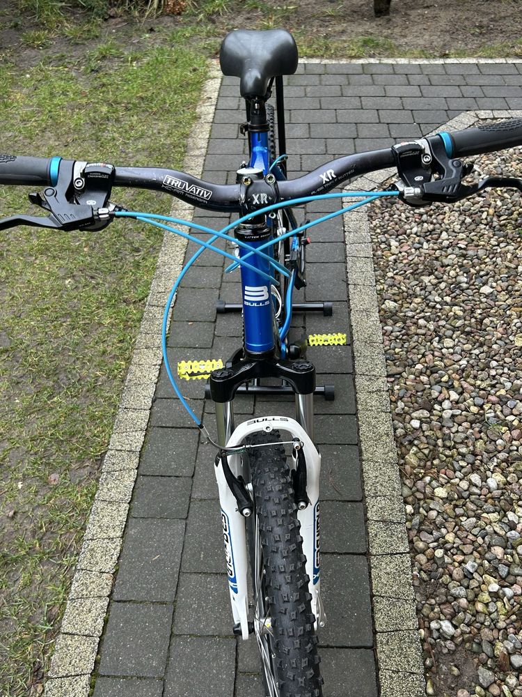 Rower Bulls pulsar