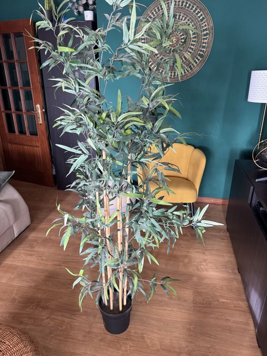 Planta artificial, interior e exterior.