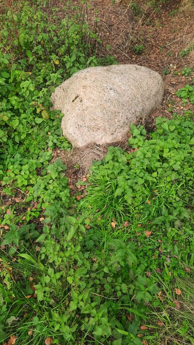 Duży kamień plus mniejsze i gruz kamienie oddam za darmo