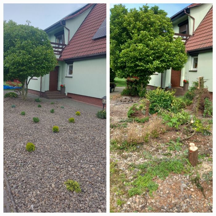 Usługi Ogrodnicze,przycinanie tuji,zakładanie trawników, wycinka drzew