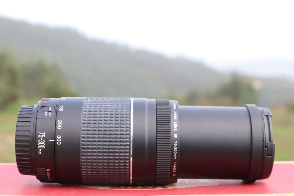 Canon EF 75-300mm F/4-5.6 III