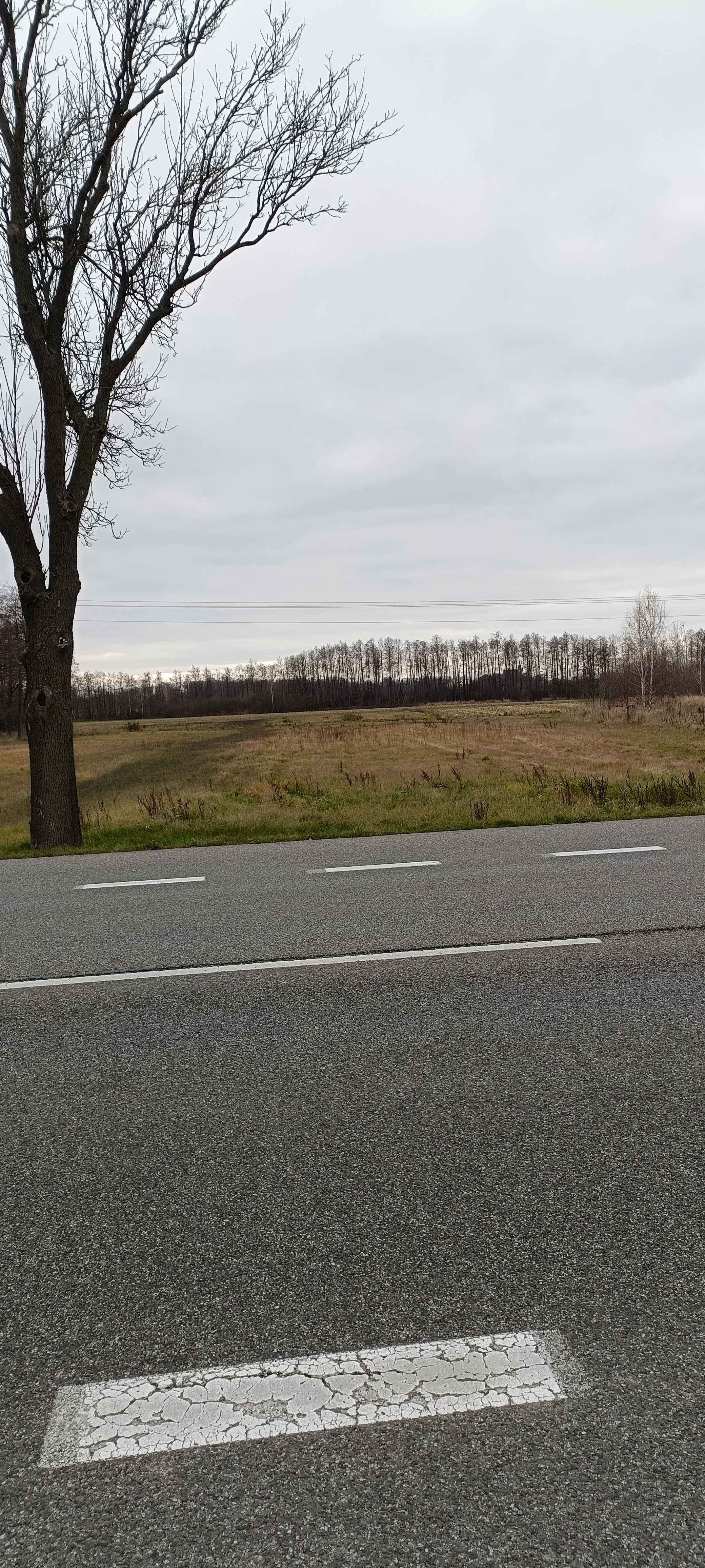 Działka rolno-budowlana z warunkami zabudowy przy A2
