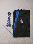 Disfarce Harry Potter - Ravenclaw