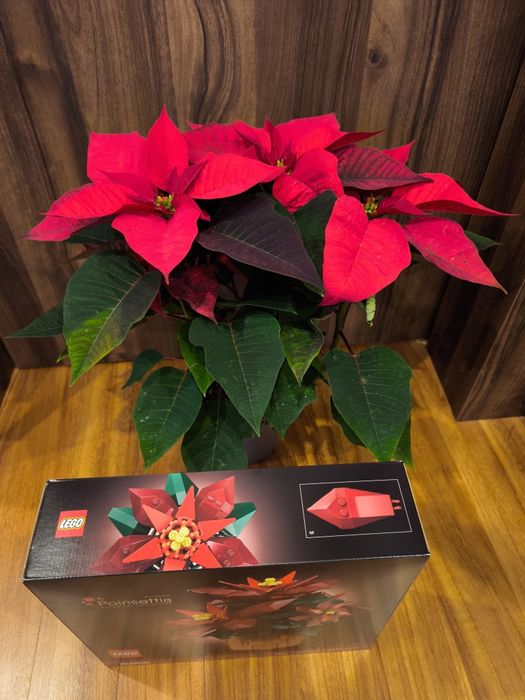Lego Botanicals 10370 Poisenttia