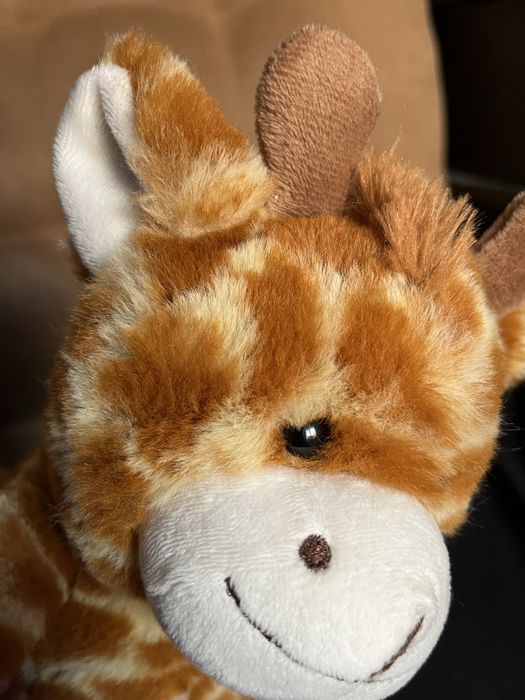 Жираф фірми Sunkid