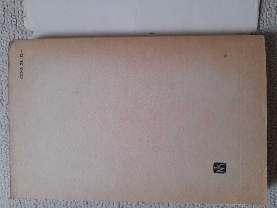 Książka dla młodzieży "Ci z dziesiątego tysiąca" J. Broszkiewicz