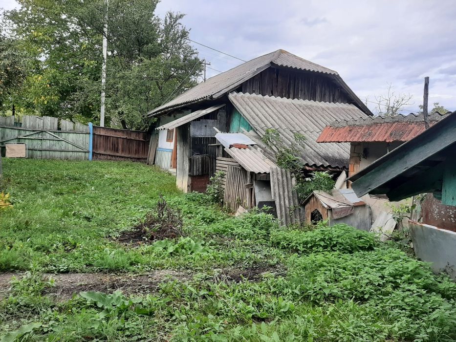 Продається господарство с.Боянчук Заставнівського р-ну.