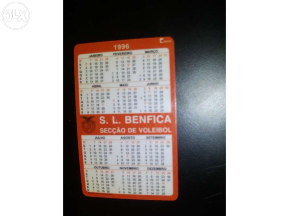 Calendário equipa do S.L.B.. campeões europeus de 1961/62