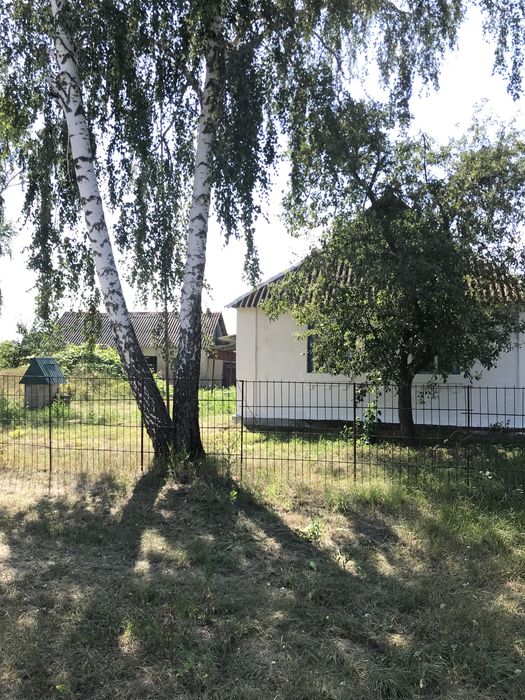 Будинок в Житомирський області Попіільнянського району село Липки