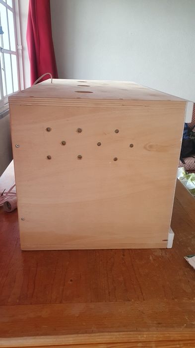 Terrário de madeira