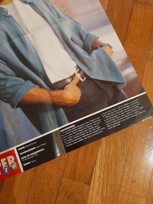 Poster David Charvet e Offspring