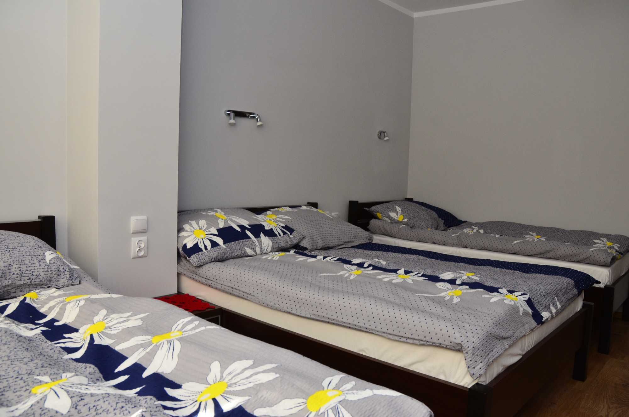 noclegi pokoje Toruń
