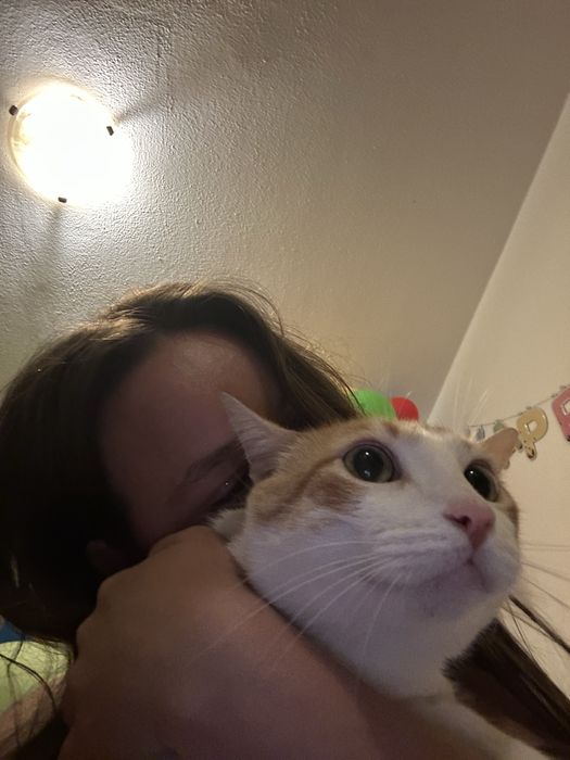 Passeios, cuidados e companhia para o seu patudo – Barreiro