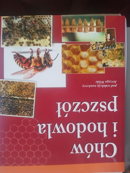 Chów i hodowla pszczół Wilde