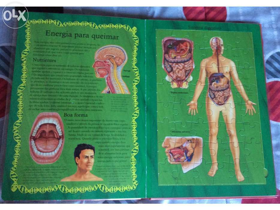 Livro - puzzle Corpo Humano