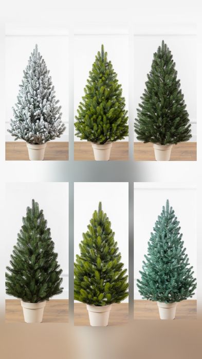 Штучні новорічні ялинки в горщику Siga Group елка ялинка