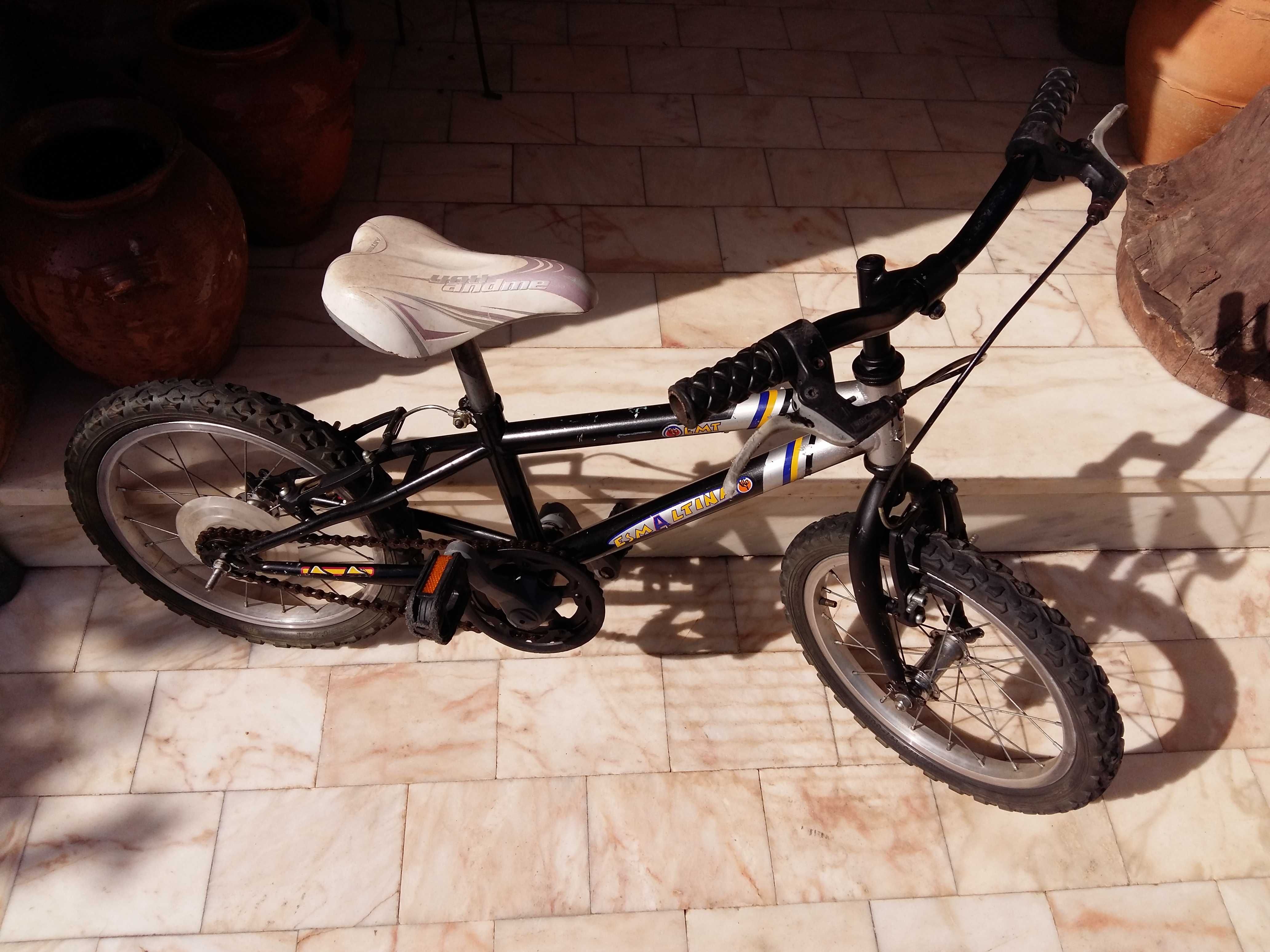Bicicleta de Criança - Esmaltina