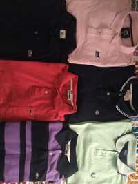 Polos Lacoste, Loding, Springfield e Fred Perry em muito bom estado