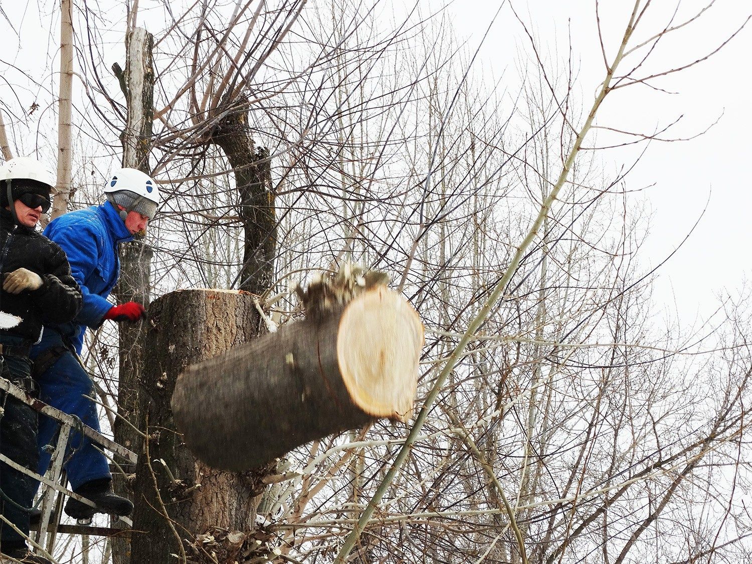 Спил,обрезка  деревьев