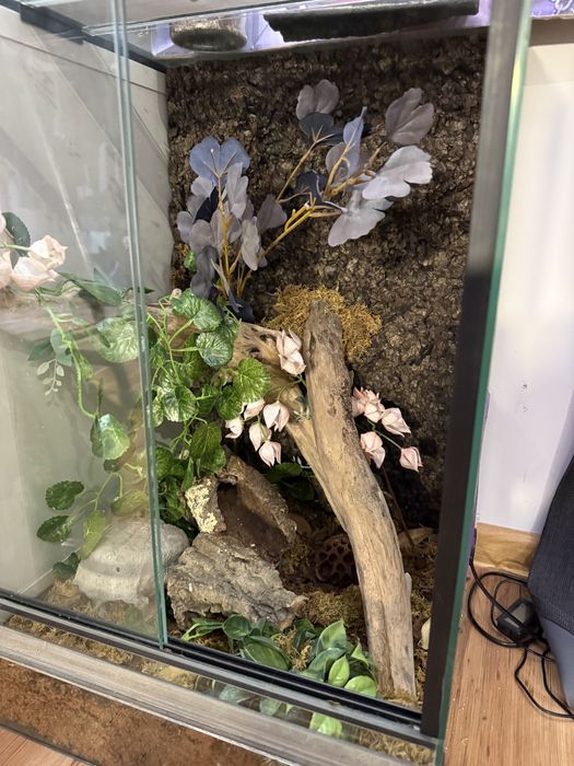 Terrarium 40x40x60