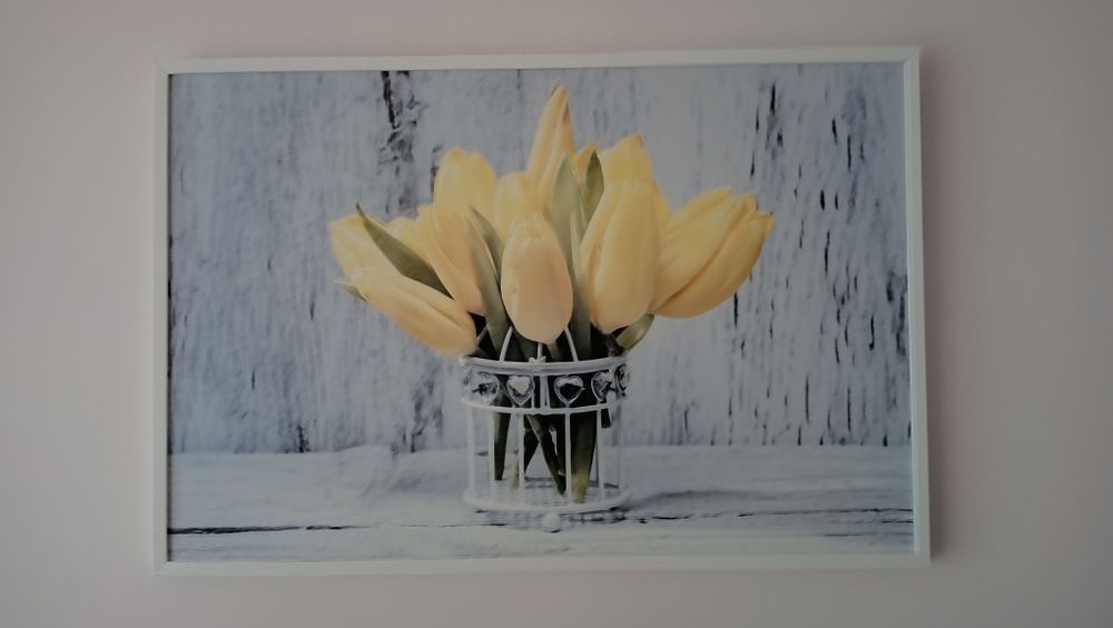 Obraz żòłte tulipany