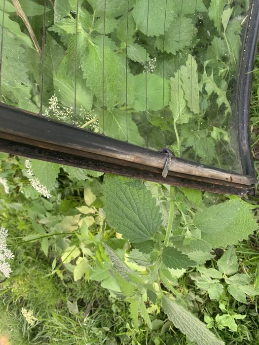 Заднє скло з підігрівом 2101-2107