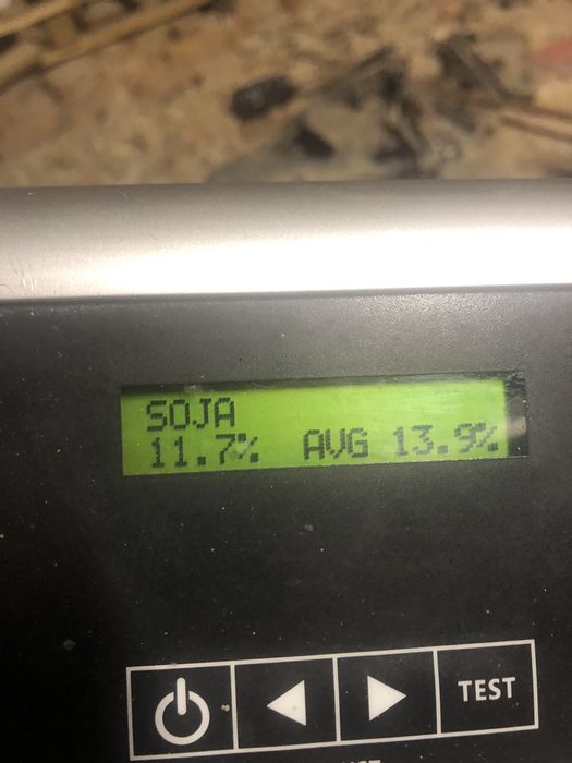 Soja Orpheus ziarno z 2025