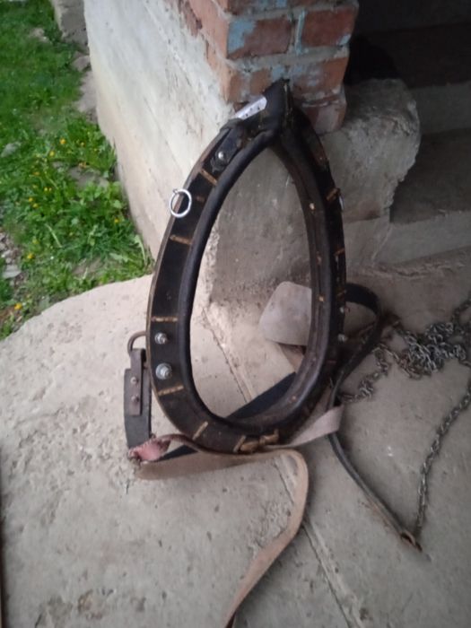 Продам  хамут 62 на 35