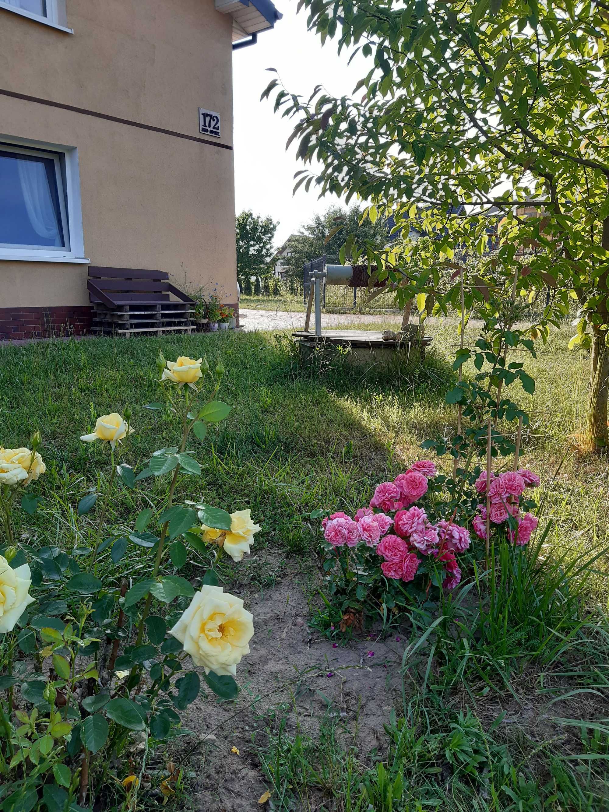 do wynajęcia dom na wakacje