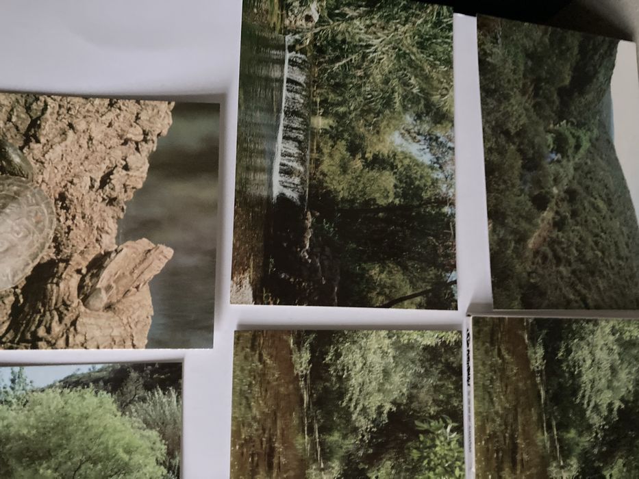 Postais: Sítio Classificado da Fonte Benémola -Loulé