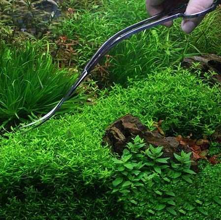Tesoura de poda para plantas de aquário
